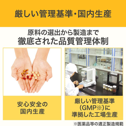DHC Vitamin C (Hard Capsule) Economical 90-day supply [Nutritional Functional Food (Vitamin C/Vitamin B2)]