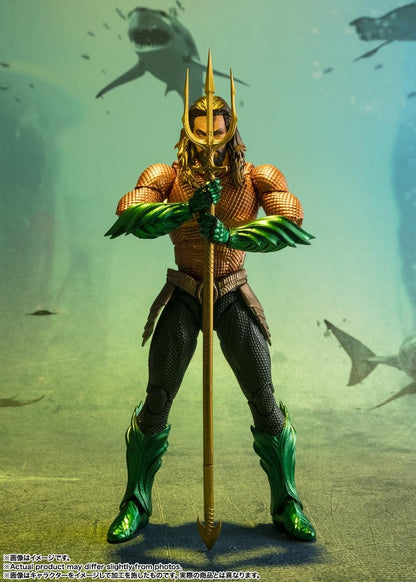 TAMASHII NATIONS S.H.Figuarts Aquaman (Aquaman/Lost Kingdom) approximately 160mm ABS&PVC painted movable figure